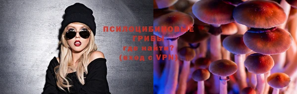 ГАЛЛЮЦИНОГЕННЫЕ ГРИБЫ Балахна