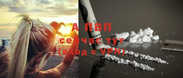 ALPHA PVP Баксан