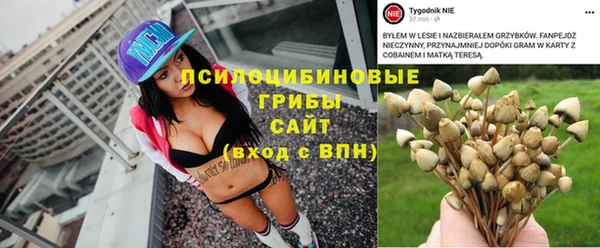 ALPHA PVP Баксан