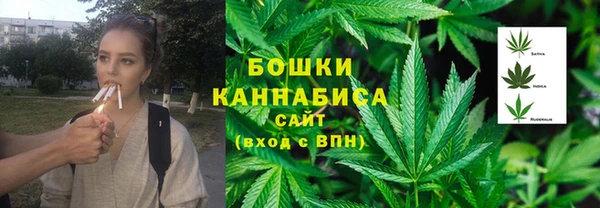 ГАЛЛЮЦИНОГЕННЫЕ ГРИБЫ Балахна